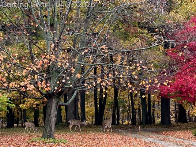 22706 Elmgrove Street, Farmington Hills, MI 48336