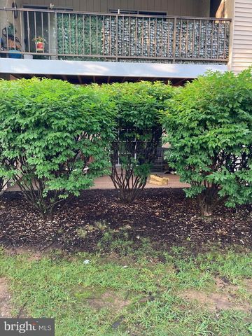 165 VALLEY GREENE, Wyomissing, PA 19610