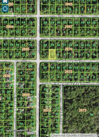 14012 GAILWOOD AVE, Port Charlotte, FL 33953