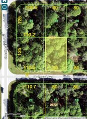 14012 GAILWOOD AVE, Port Charlotte, FL 33953