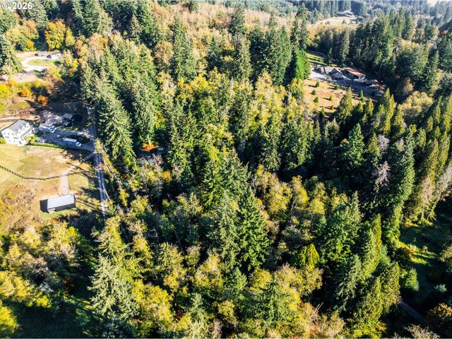 38100 Ne 197TH Ct, Amboy, WA 98601