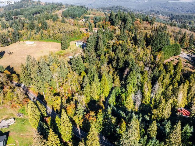 38100 Ne 197TH Ct, Amboy, WA 98601