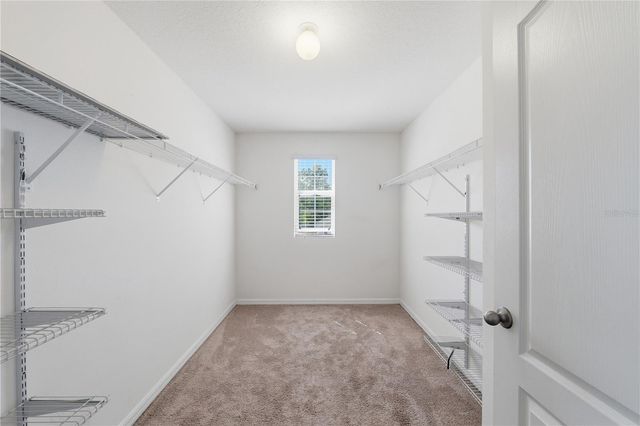 13755 COVEY RUN PLACE, Spring Hill, FL 34609
