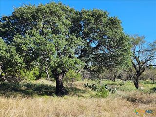 Lot 73 Shin Oak Drive, Lampasas, TX 76550