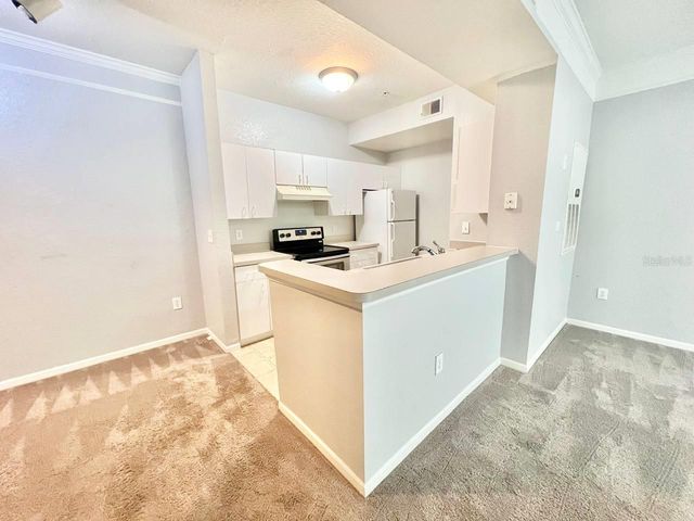 17110 CARRINGTON PARK DRIVE 826, Tampa, FL 33647