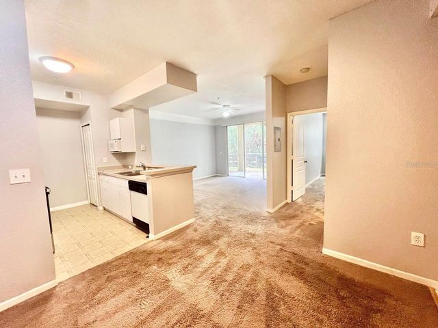 17110 CARRINGTON PARK DRIVE 826, Tampa, FL 33647