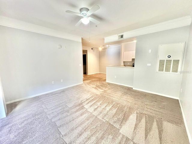 17110 CARRINGTON PARK DRIVE 826, Tampa, FL 33647