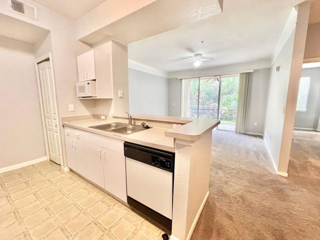 17110 CARRINGTON PARK DRIVE 826, Tampa, FL 33647