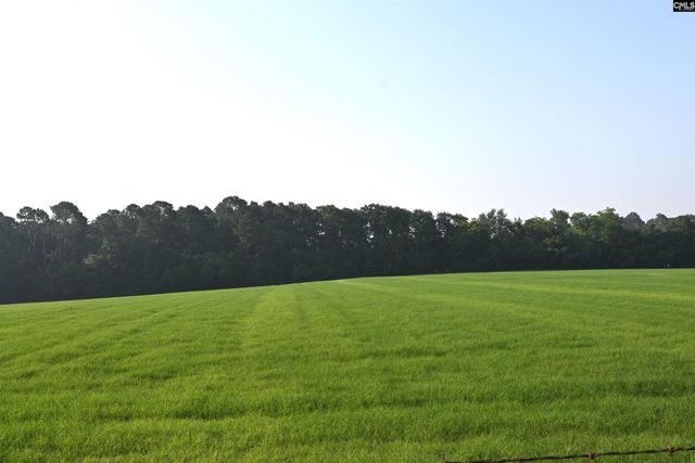 214 Mac Street, Leesville, SC 29070