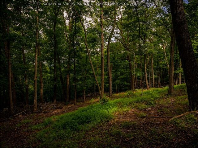 115 RIDGEWOOD FOREST Road, St Albans, WV 25177