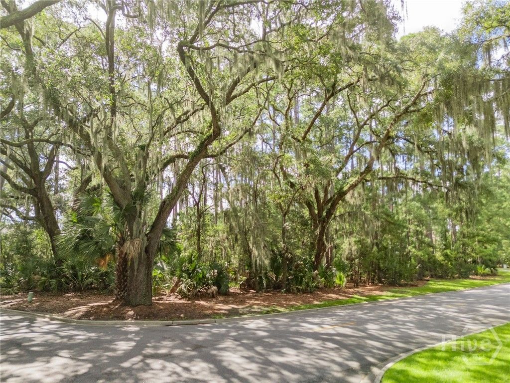 Image 3 of property listing at 1 Hasleiters Retreat, Savannah, GA 31411