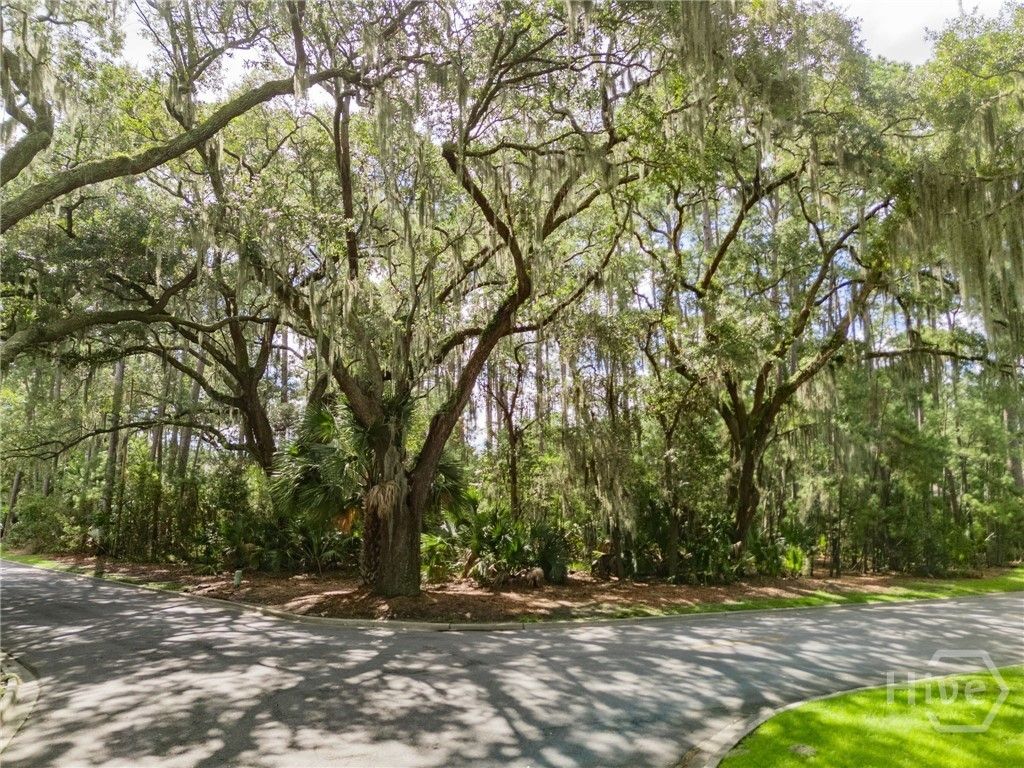 Image 4 of property listing at 1 Hasleiters Retreat, Savannah, GA 31411