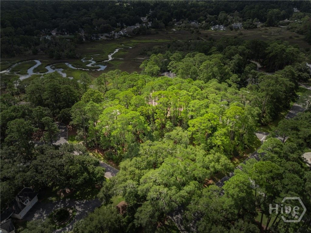 Image 5 of property listing at 1 Hasleiters Retreat, Savannah, GA 31411