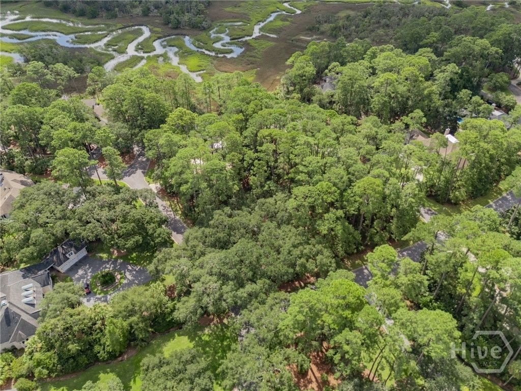 Image 9 of property listing at 1 Hasleiters Retreat, Savannah, GA 31411