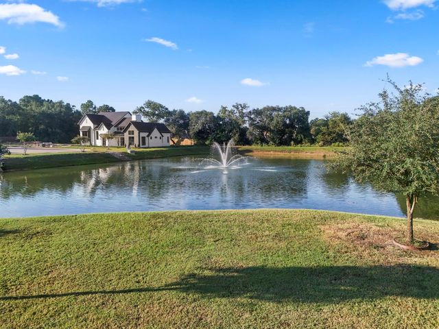 8719 Scrub Oak View Drive, Tomball, TX 77375