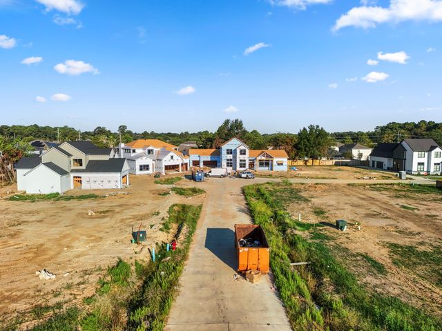 8719 Scrub Oak View Drive, Tomball, TX 77375