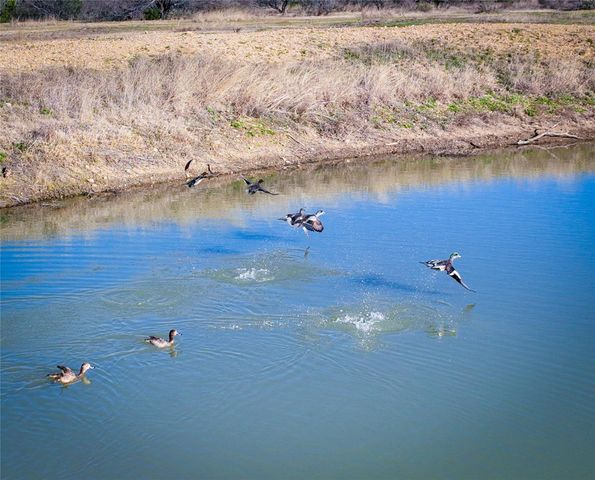 000 US-190, Lometa, TX 76853