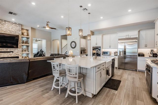 29043 PICANA LANE, Wesley Chapel, FL 33543