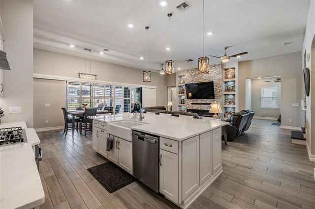 29043 PICANA LANE, Wesley Chapel, FL 33543