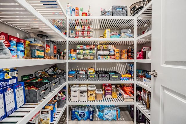 29043 PICANA LANE, Wesley Chapel, FL 33543