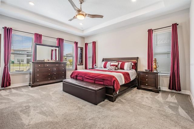 29043 PICANA LANE, Wesley Chapel, FL 33543