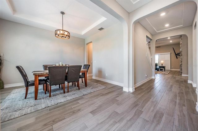 29043 PICANA LANE, Wesley Chapel, FL 33543