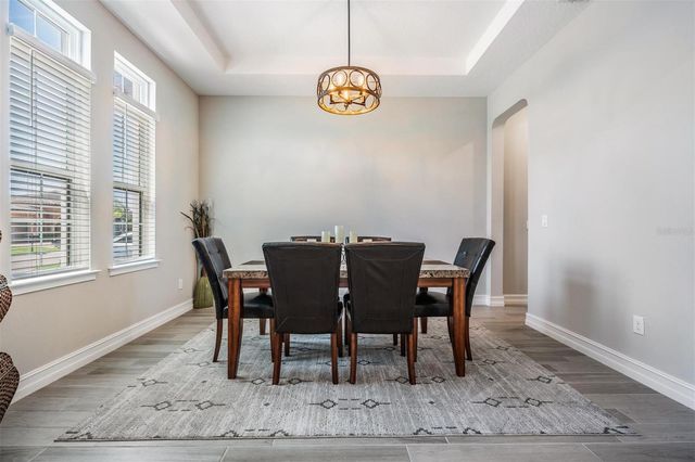 29043 PICANA LANE, Wesley Chapel, FL 33543