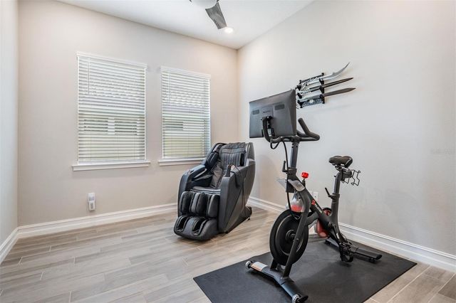 29043 PICANA LANE, Wesley Chapel, FL 33543