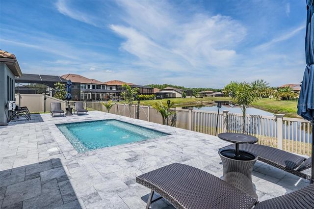 29043 PICANA LANE, Wesley Chapel, FL 33543