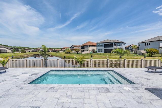 29043 PICANA LANE, Wesley Chapel, FL 33543