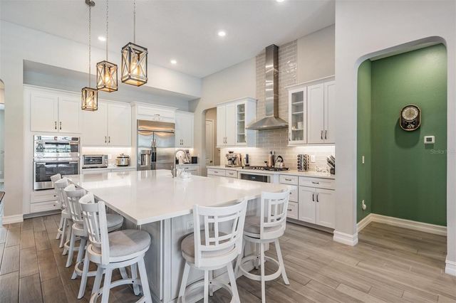 29043 PICANA LANE, Wesley Chapel, FL 33543