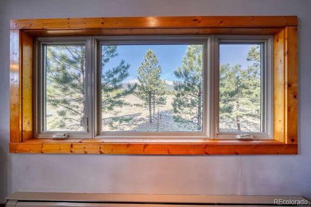 13940 County Road 261F, Nathrop, CO 81236