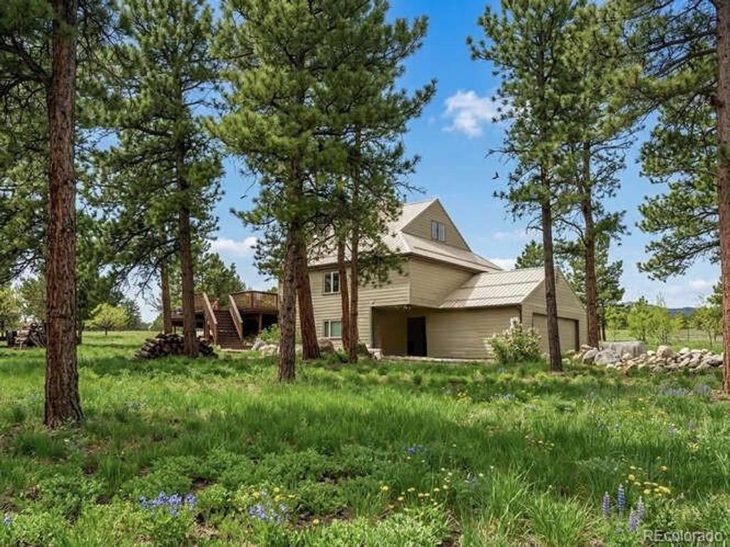 13940 County Road 261F, Nathrop, CO 81236