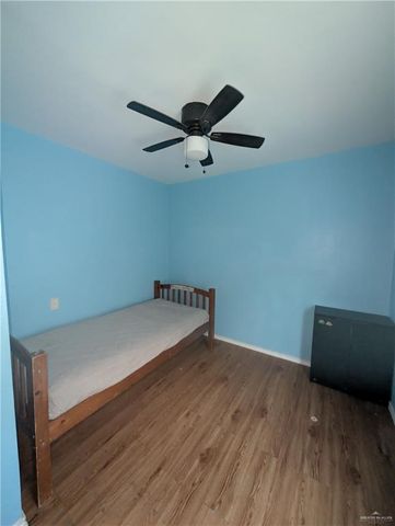 1410 Campanilla Avenue, Alamo, TX 78516