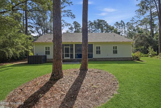 1113 Winterberry Lane, Townsend, GA 31331
