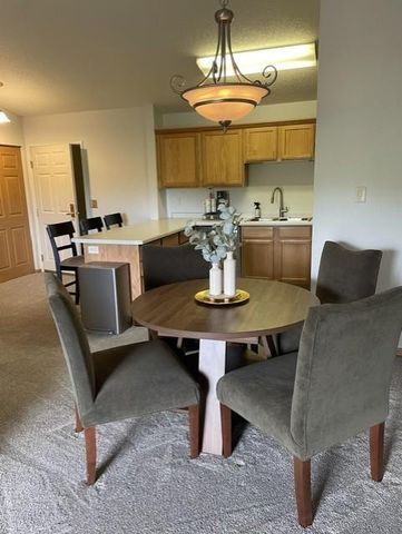 1321 Lake Drive W 320, Chanhassen, MN 55317