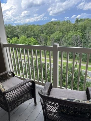 1321 Lake Drive W 320, Chanhassen, MN 55317