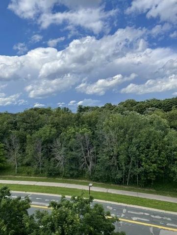 1321 Lake Drive W 320, Chanhassen, MN 55317