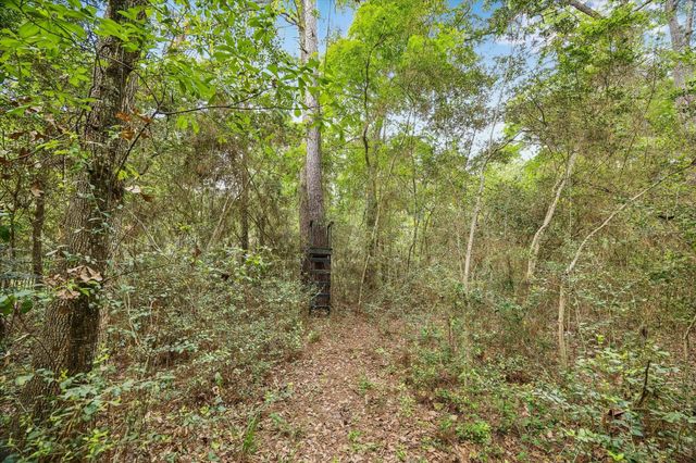 14530 Millhouse Road, Pinehurst, TX 77362