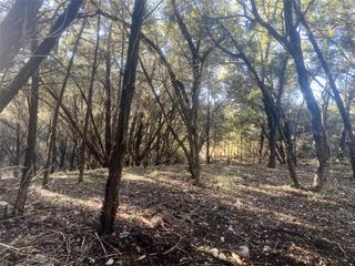 1707 Lipan TRL, Austin, TX 78733