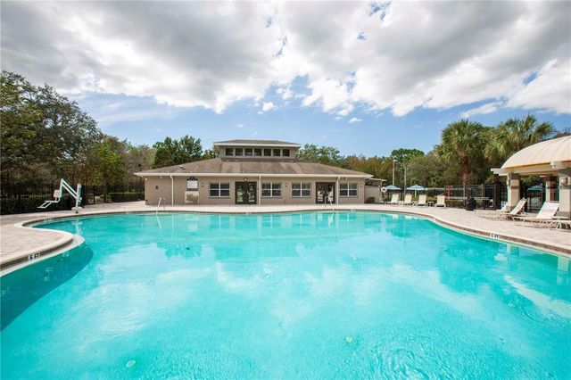 13483 GOLDEN LIME AVENUE, Spring Hill, FL 34609