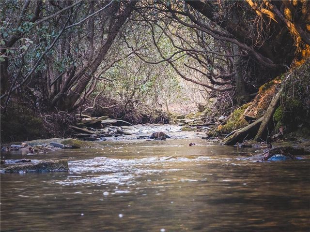 480 Brookstone Trail, Dawsonville, GA 30534