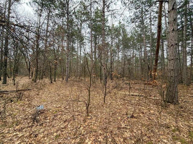 0000 W Robin Court, Necedah, WI 54646