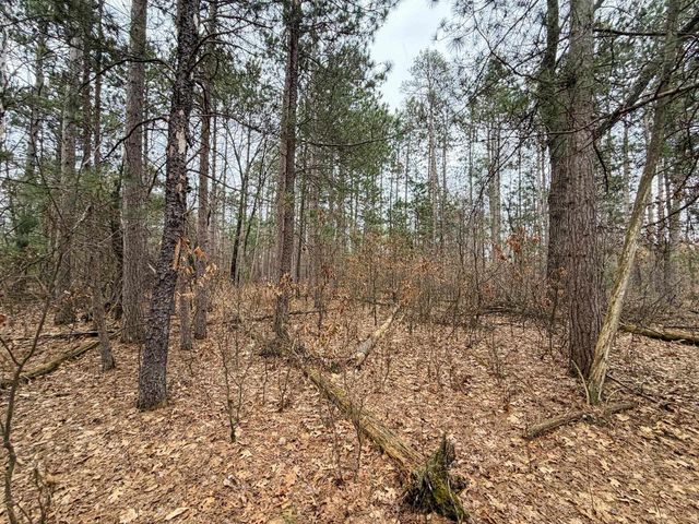 0000 W Robin Court, Necedah, WI 54646