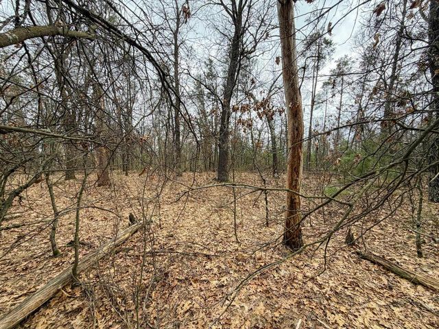 0000 W Robin Court, Necedah, WI 54646