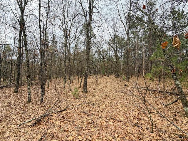 0000 W Robin Court, Necedah, WI 54646