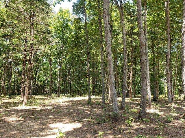 4821 Kedron Rd, Spring Hill, TN 37174