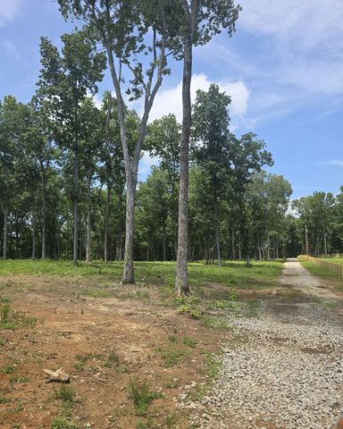 4821 Kedron Rd, Spring Hill, TN 37174