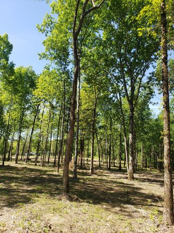 4821 Kedron Rd, Spring Hill, TN 37174