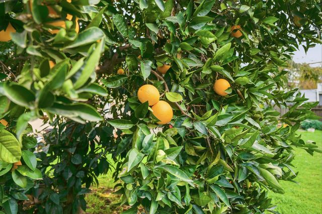 1705 S Bradley Street, Visalia, CA 93292